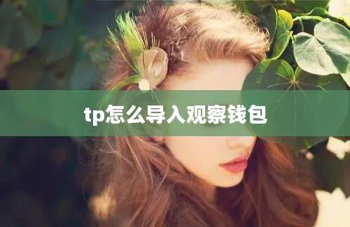 tp怎么导入观察钱包