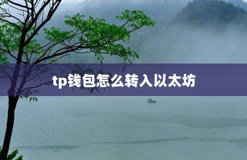 tp钱包怎么转入以太坊