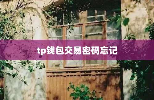 tp钱包交易密码忘记