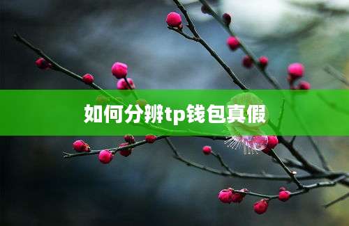 如何分辨tp钱包真假