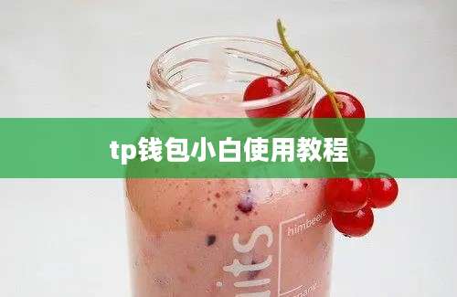 tp钱包小白使用教程