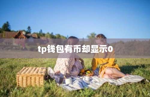 tp钱包有币却显示0