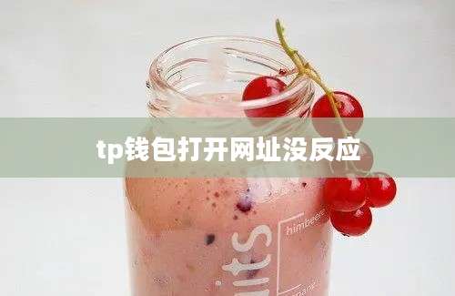 tp钱包打开网址没反应