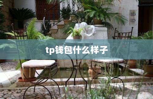 tp钱包什么样子