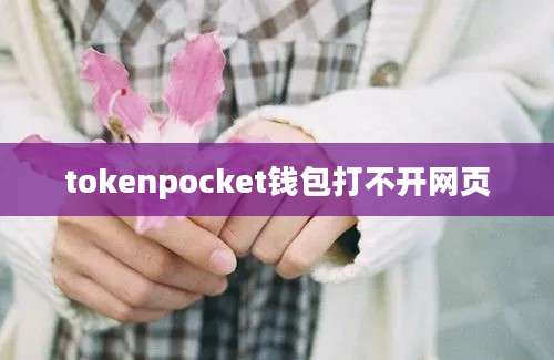 tokenpocket钱包打不开网页