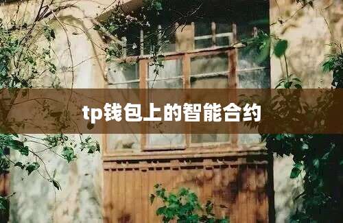 tp钱包上的智能合约