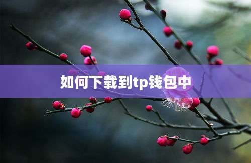 如何下载到tp钱包中