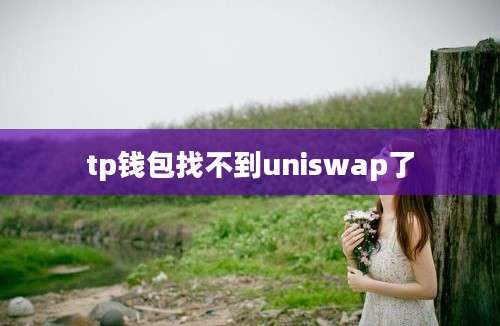 tp钱包找不到uniswap了