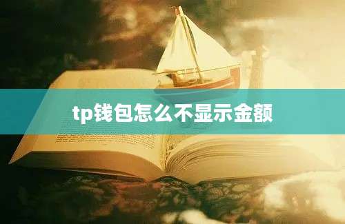 tp钱包怎么不显示金额