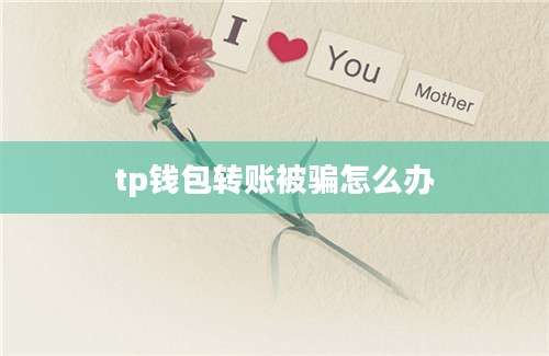 tp钱包转账被骗怎么办
