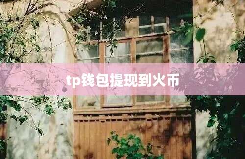 tp钱包提现到火币