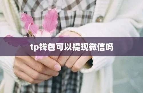 tp钱包可以提现微信吗