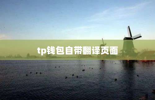 tp钱包自带翻译页面