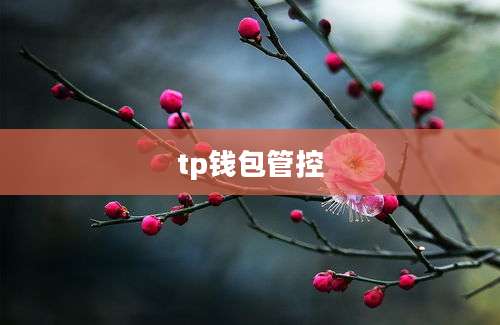 tp钱包管控