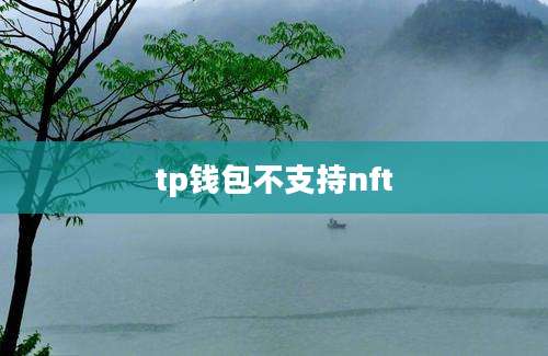 tp钱包不支持nft
