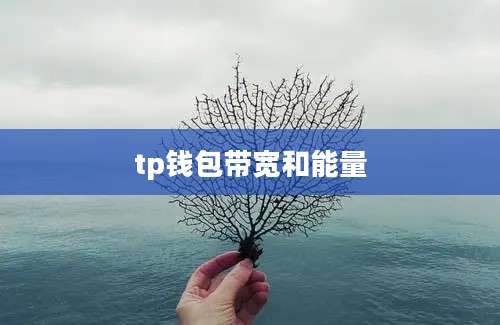 tp钱包带宽和能量
