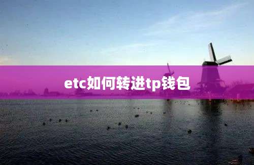 etc如何转进tp钱包