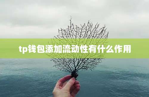 tp钱包添加流动性有什么作用