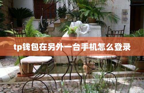 tp钱包在另外一台手机怎么登录