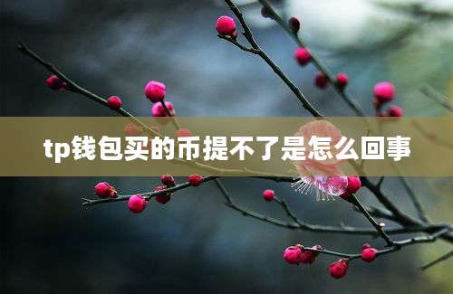tp钱包买的币提不了是怎么回事