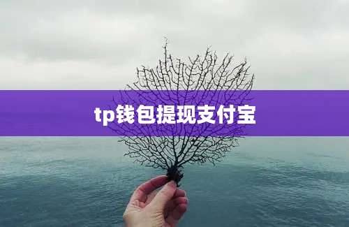 tp钱包提现支付宝