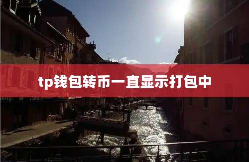 tp钱包转币一直显示打包中