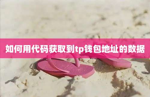 如何用代码获取到tp钱包地址的数据
