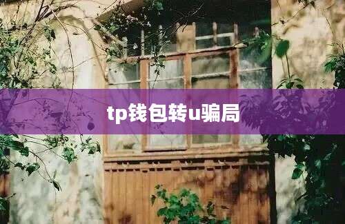 tp钱包转u骗局