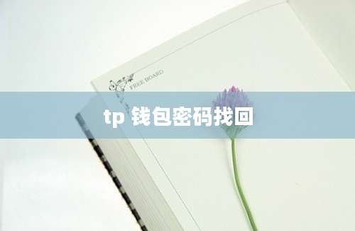 tp 钱包密码找回