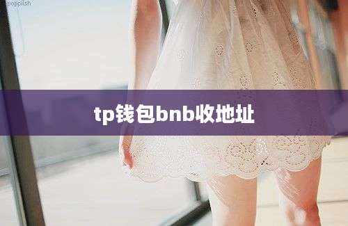 tp钱包bnb收地址