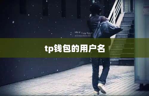 tp钱包的用户名