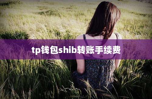 tp钱包shib转账手续费