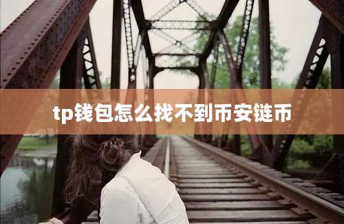tp钱包怎么找不到币安链币