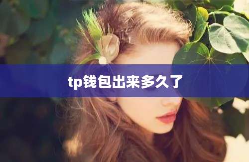 tp钱包出来多久了