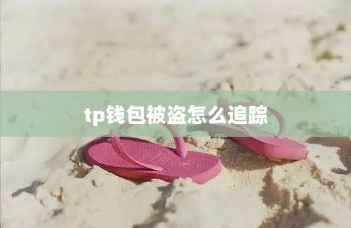 tp钱包被盗怎么追踪