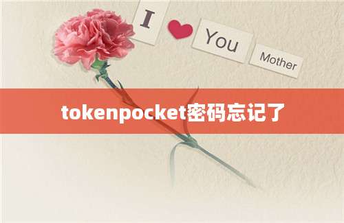 tokenpocket密码忘记了