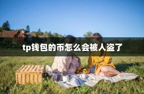 tp钱包的币怎么会被人盗了