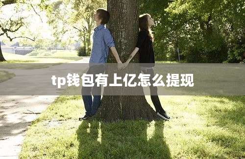 tp钱包有上亿怎么提现