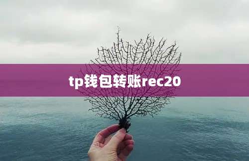 tp钱包转账rec20