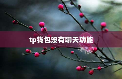 tp钱包没有聊天功能