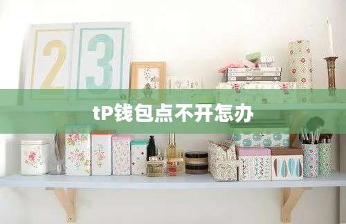 tP钱包点不开怎办