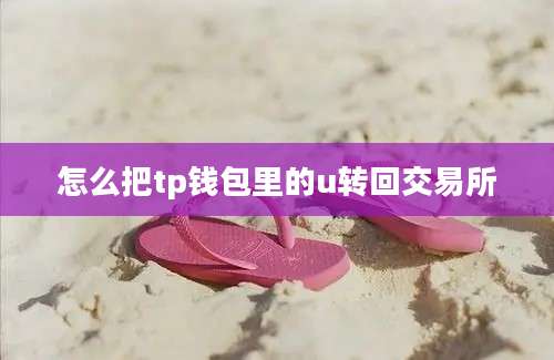 怎么把tp钱包里的u转回交易所