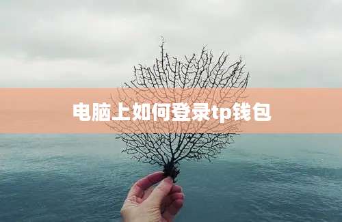 电脑上如何登录tp钱包