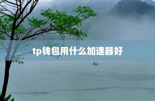 tp钱包用什么加速器好