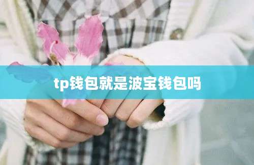 tp钱包就是波宝钱包吗