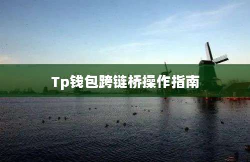Tp钱包跨链桥操作指南