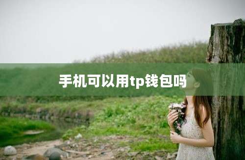 手机可以用tp钱包吗