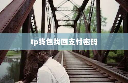 tp钱包找回支付密码
