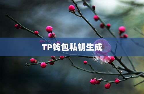 TP钱包私钥生成