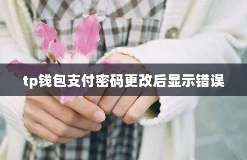 tp钱包支付密码更改后显示错误